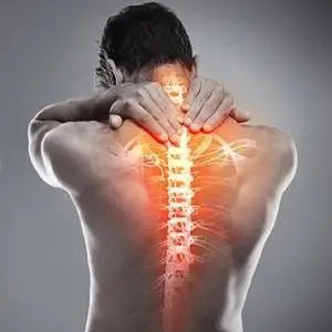 spinal